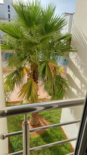 a view of a palm tree from a balcony at Apparemment Saidia in Saidia 