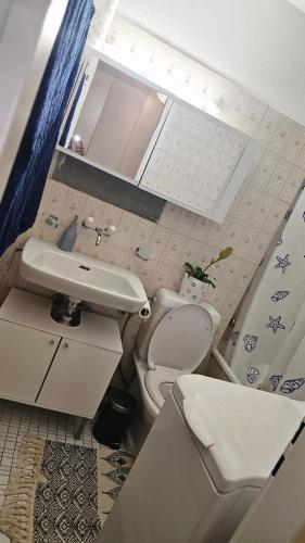 Un baño pequeño con inodoro y lavabo. en AptBlue, en Ostermundigen
