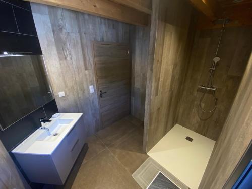 une salle de bain avec un lavabo et une douche dans l'établissement Le Palier, à Chorges