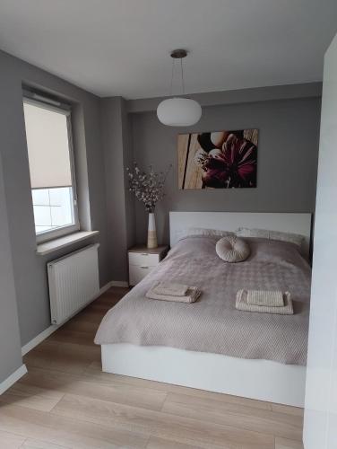 Apartament Altus