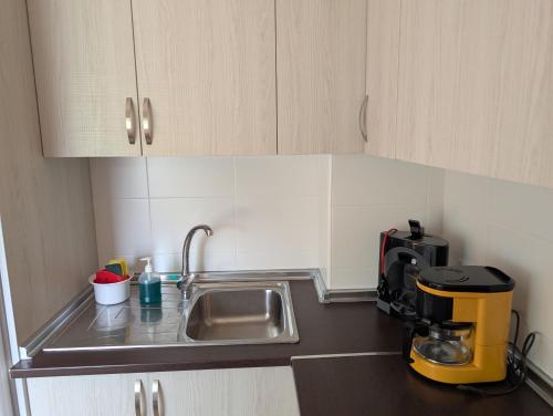 a kitchen with a sink and a coffee maker at la erilla vieja in Navarrevisca