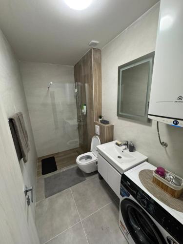 a bathroom with a toilet and a sink and a shower at TARA & SPA apartment Kolasin in Kolašin