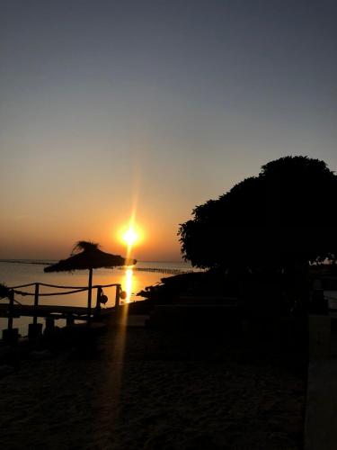 a sunset on a beach with an umbrella and the ocean at maison plage kerkennah in Mouamla