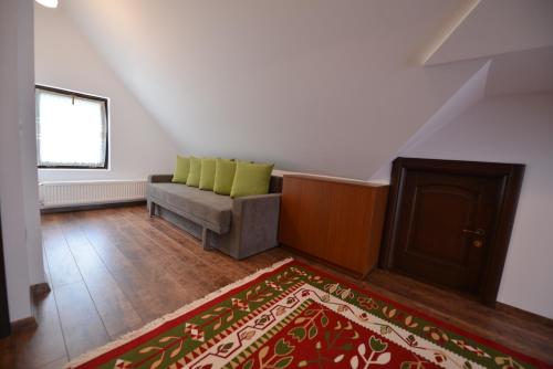 a living room with a couch and a rug at Pensiunea Drumul Plutasilor in Alexandru cel Bun