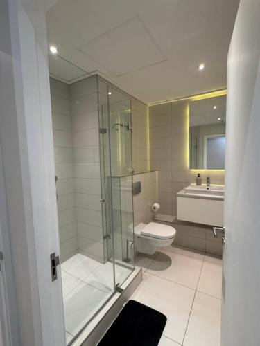 a bathroom with a shower and a toilet and a sink at The Cozy Luxe Apartment in Cape Town