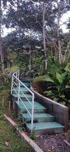 a set of stairs with a white rail and trees at Ecoterra Inka Lodge in Santa Ana