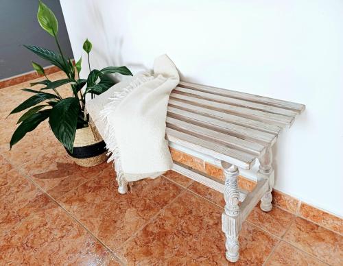 a wooden bench in a room with a plant at Guesthouse El arca de Noé in Pozo Izquierdo