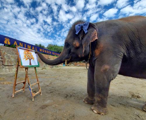 an elephant is standing next to a painting with its trunk at Hotel Crown Hills GOI in Ichihara