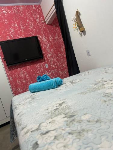 a bedroom with a bed and a television on the floor at São Jorge in Alto Paraíso de Goiás