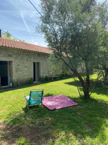a chair sitting on the grass next to a tree at Paredes de Coura Villa in Paredes de Coura