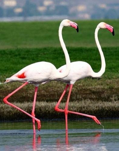 40m2 Cozy DON TOMAS 100m beach