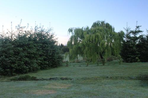 Taman di luar Las Nubes