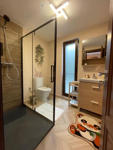 a bathroom with a shower and a toilet and a sink at Casuta din livada in Turda