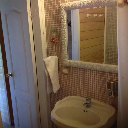 a bathroom with a sink and a mirror at B&B de German in Pucón