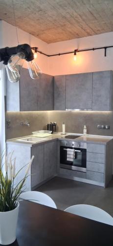 Kuchyň nebo kuchyňský kout v ubytování Dimitrios Loft Apartment