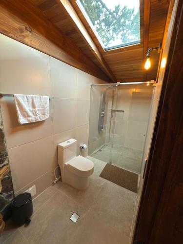 a bathroom with a toilet and a glass shower at Casa Campestre Los Nevados Patio Bonito in Estación El Salto