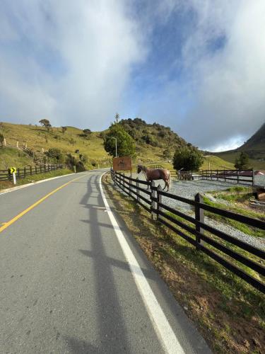 a horse standing on the side of a road next to a fence at Casa Campestre Los Nevados Patio Bonito in Estación El Salto