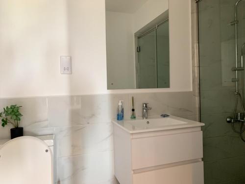 CantonmentsにあるEmbassy Gardens VVIPの洗面台とシャワー付きの白いバスルーム