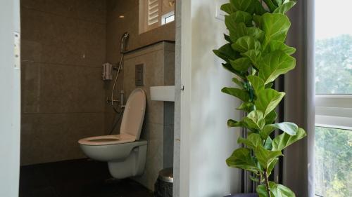 een badkamer met een toilet en een plant bij Heritage Suites in Mysore