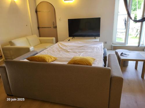 un grand lit dans une chambre avec un canapé et une télévision dans l'établissement Gîte Coté Village - le cœur du village avec piscine, à Salles-d'Aude
