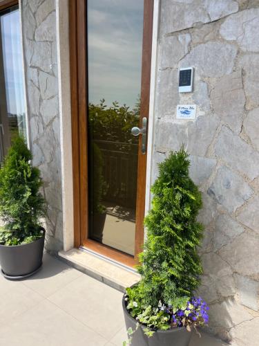 two potted plants sitting in front of a door at IL MARE BLU in Lerici