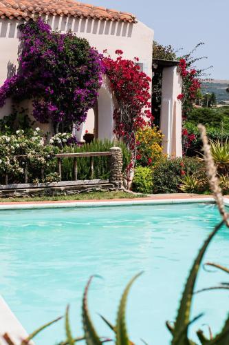 a house with flowers and a swimming pool at Villa Rosa - Piscina privata in Stintino