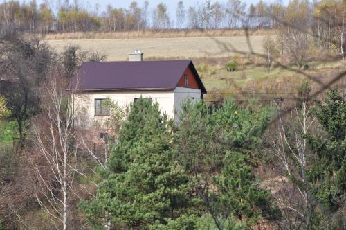 a white house in the middle of trees at Grodzisko11 in Skała