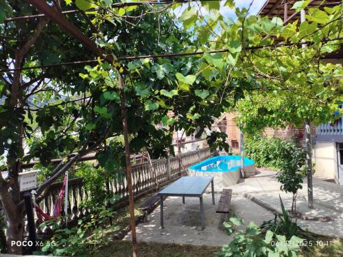 Gallery image of Shota's Guest House in Borjomi