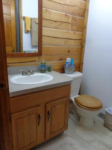 a bathroom with a sink and a toilet with a mirror at Antler's Rest Bed and Breakfast in Glennallen