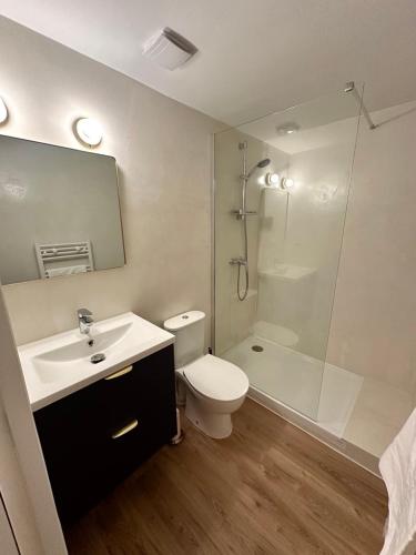 une salle de bain avec un lavabo, des toilettes et une douche dans l'établissement Apartment with Garden 1 bedroom 3 people, à Bordeaux