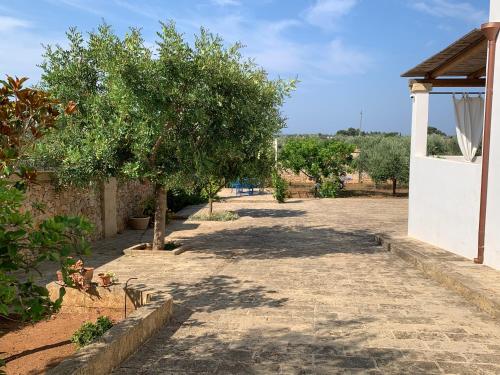 a road with a tree and a building and trees at Casa Giardino in Sannicola
