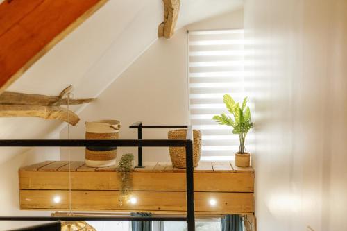 a room with a window with plants on a shelf at L'Oxalis villa (Le Cocon) in Bullion