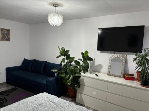 a living room with a blue couch and a tv at Casa în regim hotelier in Dofteana