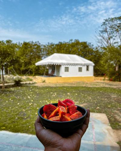 a person holding a bowl of fruit with a house in the background at Varawal Leopard Camp in Mori Bera