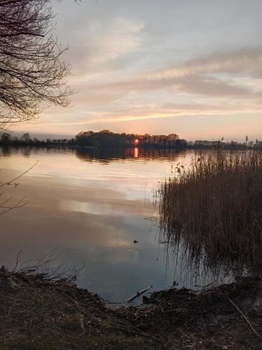 a view of a lake at sunset at Gęsia Saga in Kruszwica