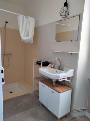 une salle de bain avec un lavabo et un miroir dans l'établissement Au jardin Vue viaduc, à Millau