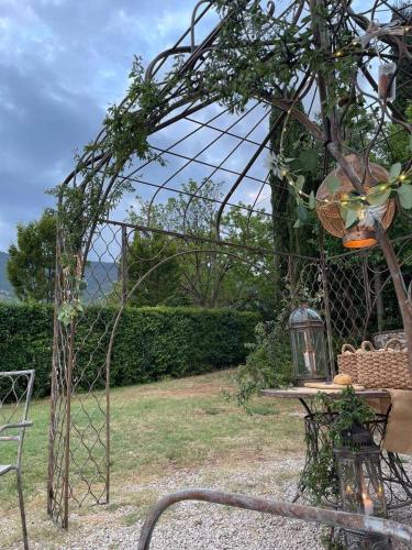 Κήπος έξω από το Il Borgo delle Pampare