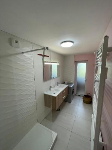 une salle de bain avec un lavabo, une douche et un miroir dans l'établissement Appartement T3 proche centre et Renécros-Garage, à Bandol