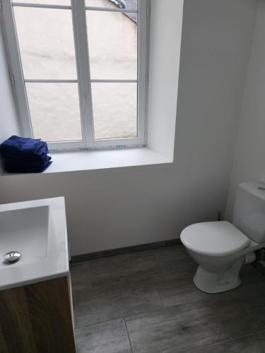 une salle de bain avec toilettes et fenêtre dans l'établissement Appartement 103, à Avallon