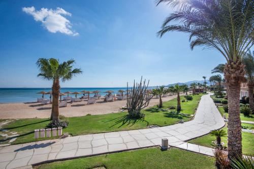 a walkway next to a beach with palm trees at Shams Prestige Abu Soma (Adults Only) in Hurghada