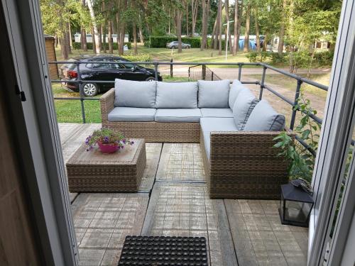 Zahrada ubytování Nieuwe vakantie-Chalet "Bie mammie en pette" Camping GOOLDERHEIDE