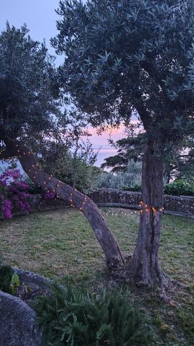 Φυσικό τοπίο κοντά σε αυτό το bed & breakfast