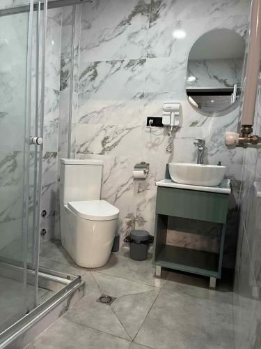 a bathroom with a toilet and a sink and a shower at Maximus apartments in Mestia in Mestia