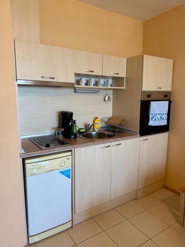 a small kitchen with a sink and a dishwasher at Harmony Hills Osteon Studio apartment in Rogachevo