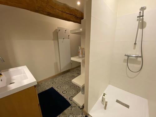 a bathroom with a shower and a sink at Le Logis in Angoulême