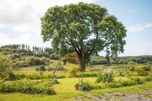 a garden with a tree in the background at Warriors View in Drumahayre