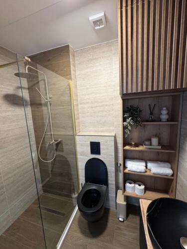 Koupelna v ubytování Villa Sevdah - apartments in the city centre, with pool and free parking