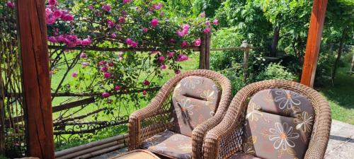 two wicker chairs sitting on a porch with flowers at Apartma Dajana in Lokve