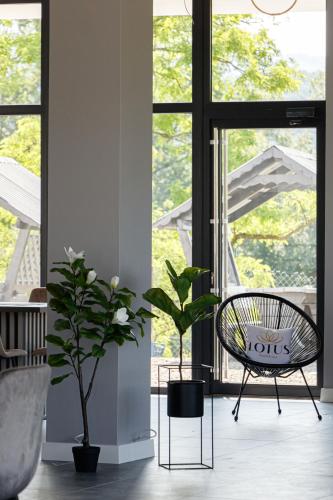 Gallery image of Lotus & Spa in Solotvyno