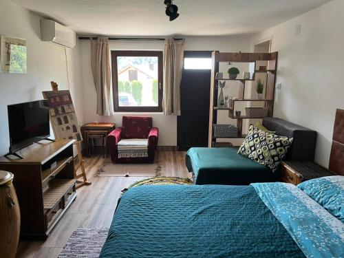 Televiisor ja/või meelelahutuskeskus majutusasutuses Studio Apartman Skyline